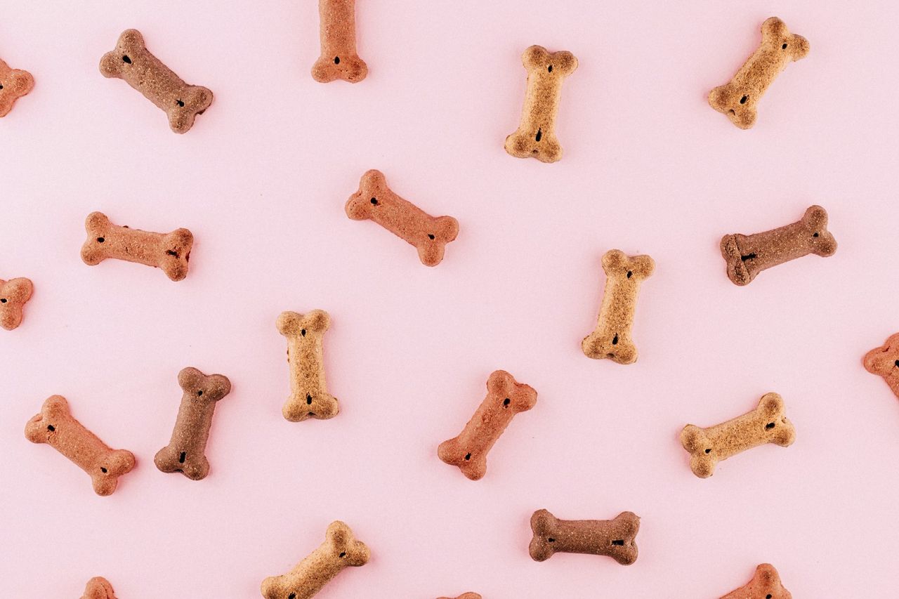 Biscoitos petiscos em formato de osso espalhados sobre fundo rosa claro