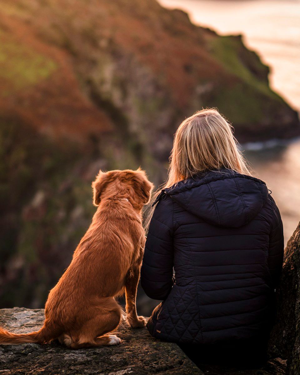 Tutora de costas sentada ao lado do seu cachorro marrom sobre uma rocha, olhando o mar ao entardecer